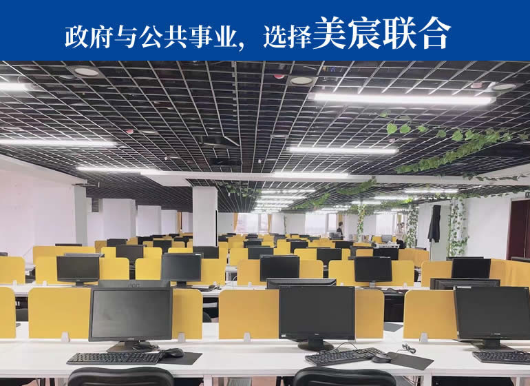政府與公共事業(yè)